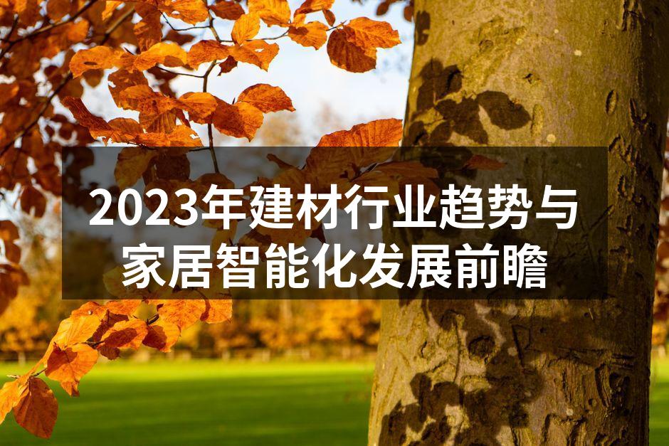 2023年建材行业趋势与家居智能化发展前瞻