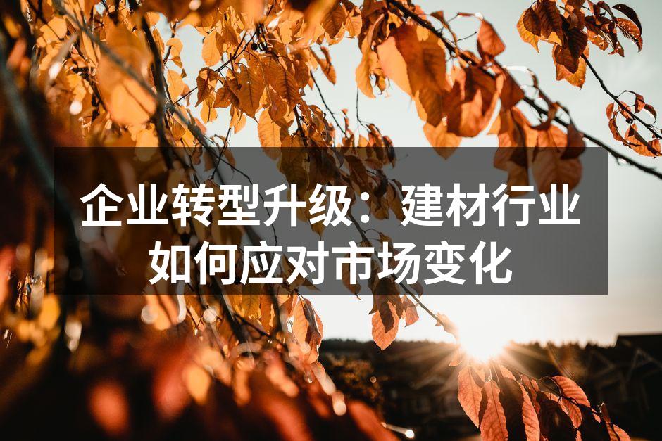 企业转型升级：建材行业如何应对市场变化